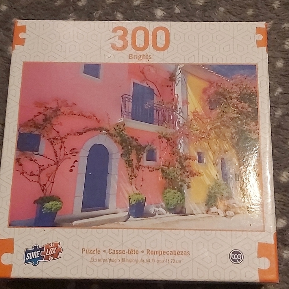 300 piece jigsaw puzzle